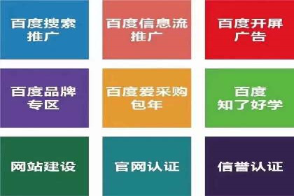 揭秘sem竞价代运营的成功要素及案例
